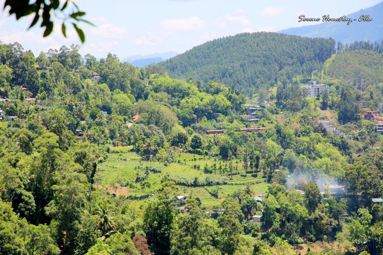 Serene Homestay Елла Екстер'єр фото